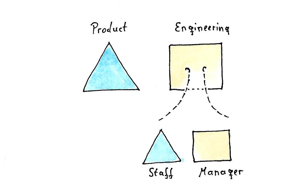 watercolor drawing: showing leadership/management divisions based on role and trade.